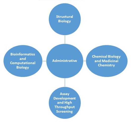 Center structure diagram: center=Administrative; left=Bioinformatics and Computational Biology; top=Structural Biology; right=Chemical Biology and Medicinal Chemistry; bottom=Assay Development and High Throughput Screening.