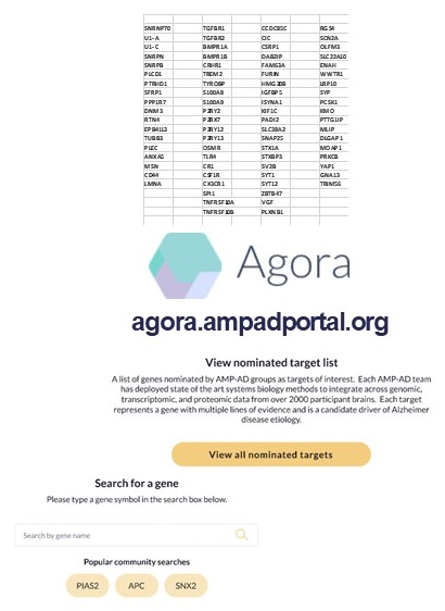Agora Candidate Targets.