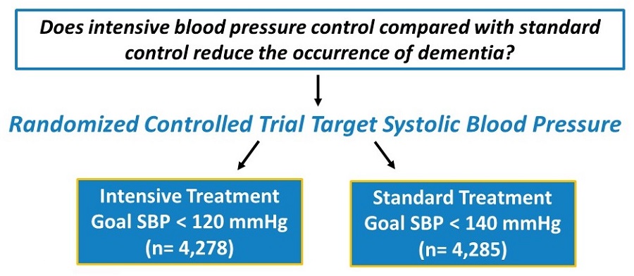 Illustration breaking down the question: Does intensive blood pressure control compared with standard control reduce the occurrence of dementia?