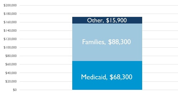 Stacked Bar Chart: Other $15,900, Families $88,300, Medicaid $68,300.