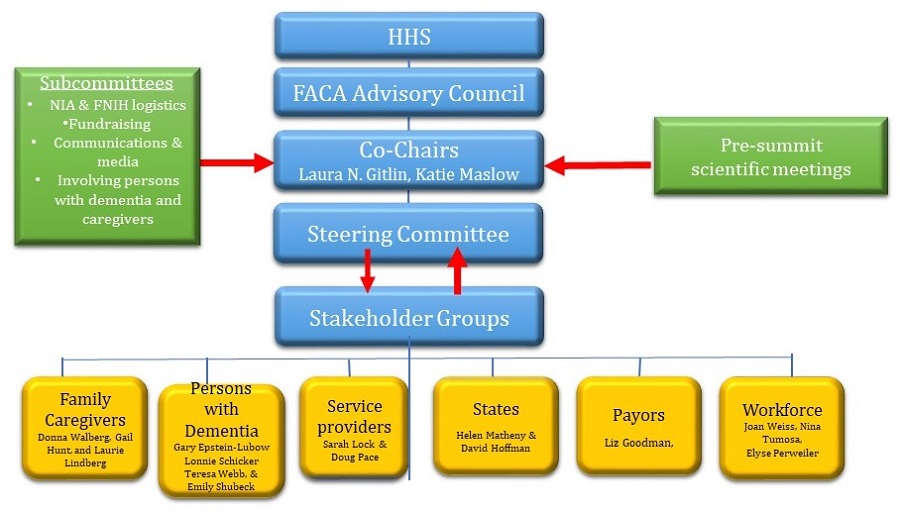 Organizational structure of 2017 summit.