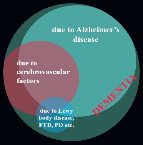 Circle Diagram: Larger cirlce represents Dementia and includes: a slightly smaller circle Due to Alzheimer's Disease; a even smaller circle Due to Cerebrovascular Factors; the smallest circle Due to Lewy body disease, FTD, PD etc.