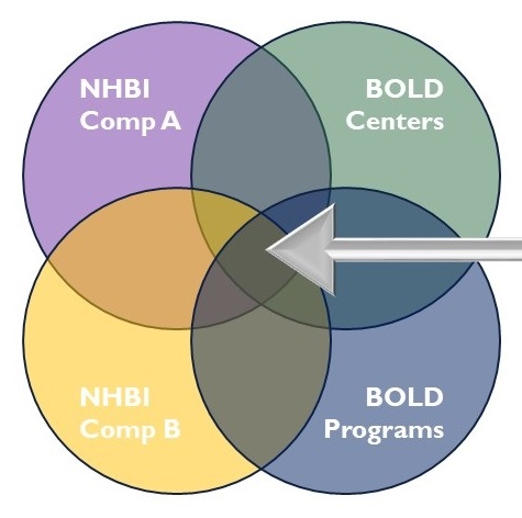 Overlapping circles; top left circle NHBI Component A, top right circle BOLD Centers, bottom left circle NHBI Component B, bottom right circle BOLD Programs.