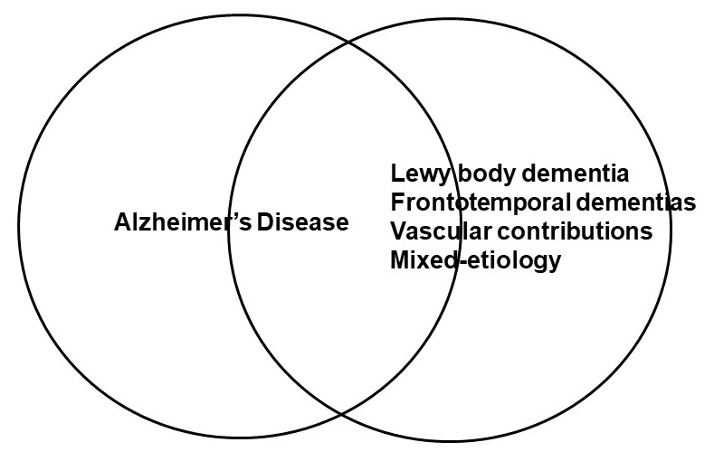 Overlapping Circles, one for Alzheimer's Disease, the other for Lewy body dementia/Frontotemporal dementias/Vascular contributions/Mixed-etiology.