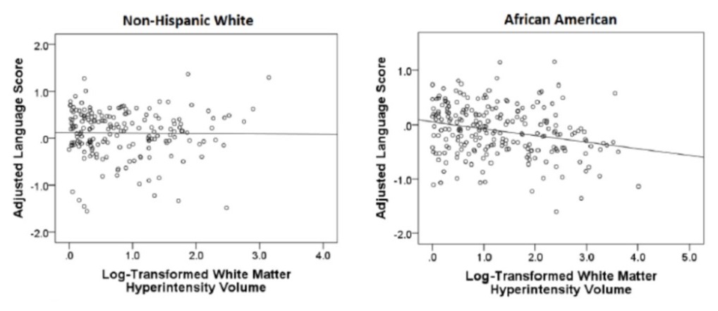 Scatter Charts: Language of Non-Hispanic White and African American.