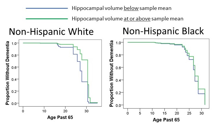 Line Charts: Comparison of Hiipocampal value below, and at or above sample, mean for Non-Hispanic White and Non-Hispanic Black.