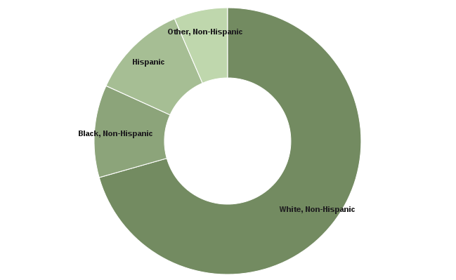 Sociodemographic Characteristics of Survey Sample. Race