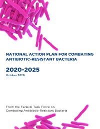 Cover image of 2020-2025 CARB National Action Plan