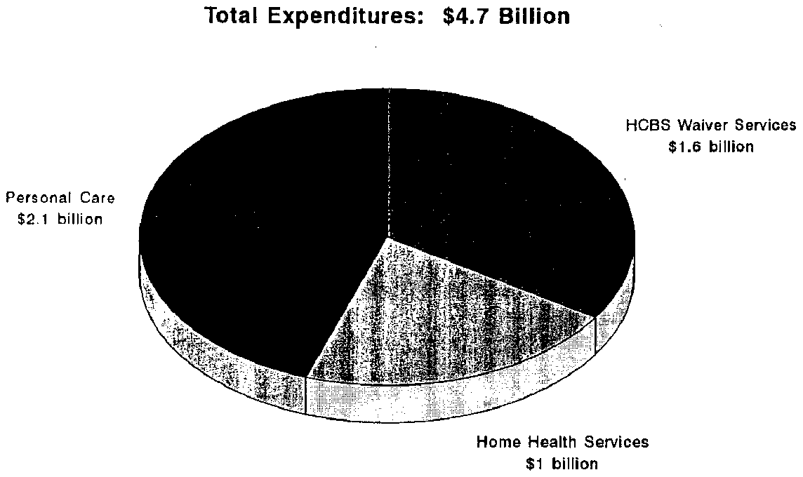 Pie Chart: Distribution of Medicaid Home Care Expenditures for the Elderly: 1991
