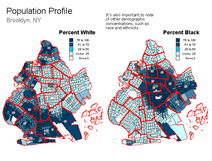 Population Profile, Brooklyn, NY, Percent White and Percent Black.