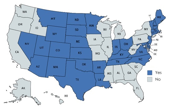EXHIBIT ES1, State Map. This figure is a map of the United States with the 31 states that offer licensure for SUD counseling shaded dark blue and the 20 states (including D.C.) that do not offer licensure shaded gray. The 20 states without licensure are: Alabama, Alaska, California, District of Columbia, Florida, Georgia, Hawaii, Idaho, Illinois, Iowa, Michigan, Mississippi, Missouri, New York, Oregon, Pennsylvania, South Carolina, Washington, West Virginia, and Wisconsin. 