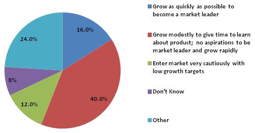 Pie Chart: Grow as quickly as possible to become a market leader (16%); Grow modestly to give time to learn about product; no aspirations to be market leader and grow rapidly (40%); Enter market very cautiously with low growth targets (12%); Don't Know (8%); Other (24%).