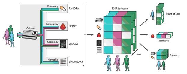 Figure 1 is a diagram showing the types of information that could potentially be in an electronic health record and how it may be organized and retrieved.  Each person’s record is showed to include administrative, pharmacy, laboratory, radiology, and narrative information.  This information is displayed as collected from multiple people over time and stored in a database, where data can be extracted on an individual over time at the point of care, across multiple individuals over time from one category of information (such as laboratory data) for statistics, or across multiple people and categories of information over time for research.  