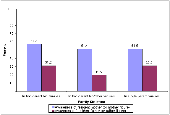 Percentage of adolescents who report that their parents are aware of their friends and activities, by family structure: 2000. See text for explanation.