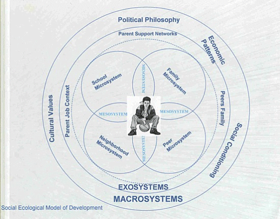 Chart A: Social Ecological Model of Development. See text for explanation.