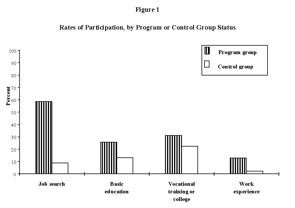 Figure 1: Rates of Participation by Program or Control Group Status.
