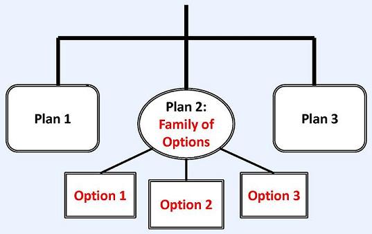 Flow Chart: CLASS Independence Benefit Plan leads to Plan 1, Plan 2: Family of Options, and Plan 3. Plan 2 leads to Option 1, Option 2 and Option 3.