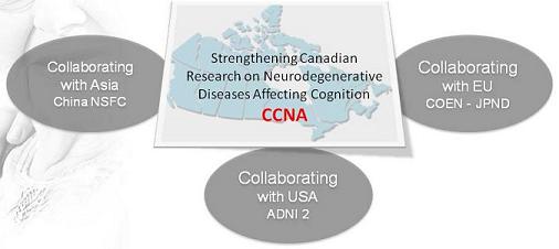 Strengthening Canadian Research on Neurodegenerative Diseases Affecting Cognition, CCNA: Collaborating with Asia China NSFC; Collaborating with USA ADNI2; Collaborating with EU COEN - JPND