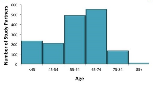 Bar Chart.