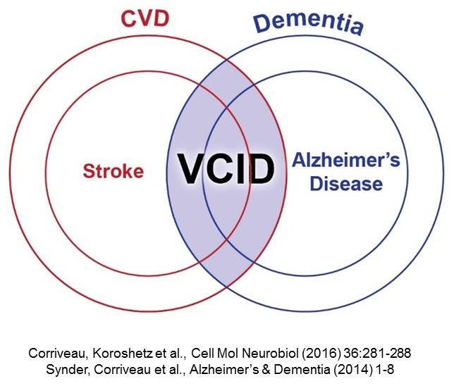 Overlapping diagram showing the intersection of Stroke and Alzheimer's.