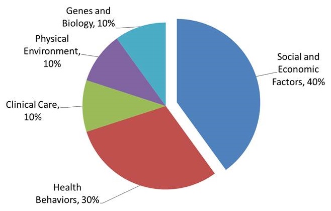 Pie Chart: Genes and Biology (10%), Social and Economic Factors (40%), Health Behaviors (30%), Clinical Care (10%), Physical Environment (10%).