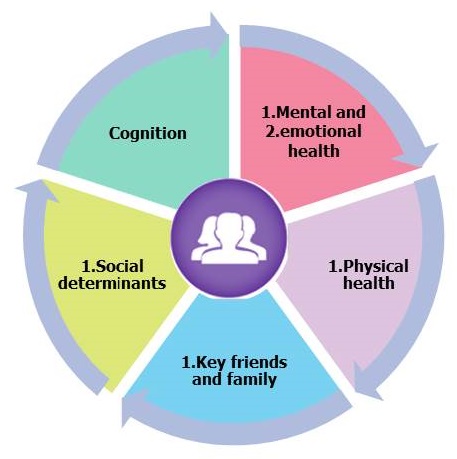 Pie chart: Cognition; (1)Mental and (2)emotional health; (1)Physical health; (1)Key friends and family; (1)Social determinants.