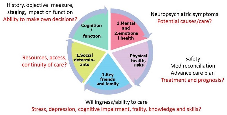Pie chart: Cognition/function--History, objective measure, staging, impact on function, Ability to make own decisions; (1)Mental and (2)emotional health--Neuropsychiatric symptoms, Potential causes/care; (1)Physical health, risks--Safety, Med reconciliation, Advance care plan, Treatment and prognosis; (1)Key friends and family--Willingness/ability to care, Stress, depression, cognitive impairment, frailty, knowledge and skills; (1)Social determinants--Resources, access, continuity of care.