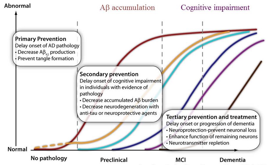 Dementia Progression Chart